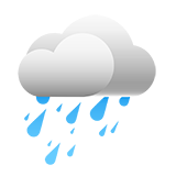 Heavy Rain Shower / Windy