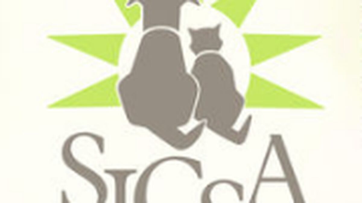 Sicsa Recovery Tips For Pets After Miami Valley Storm Tornado Damage