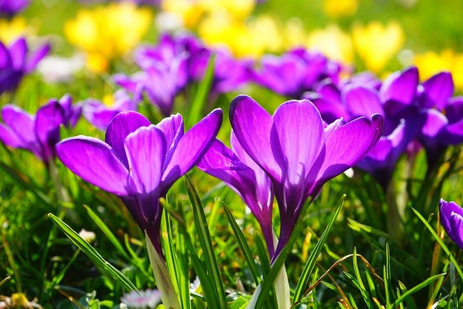 Miami Valley Region Anticipates Spring-Like Warmth With Temperatures Reaching Mid-To-Upper 70s