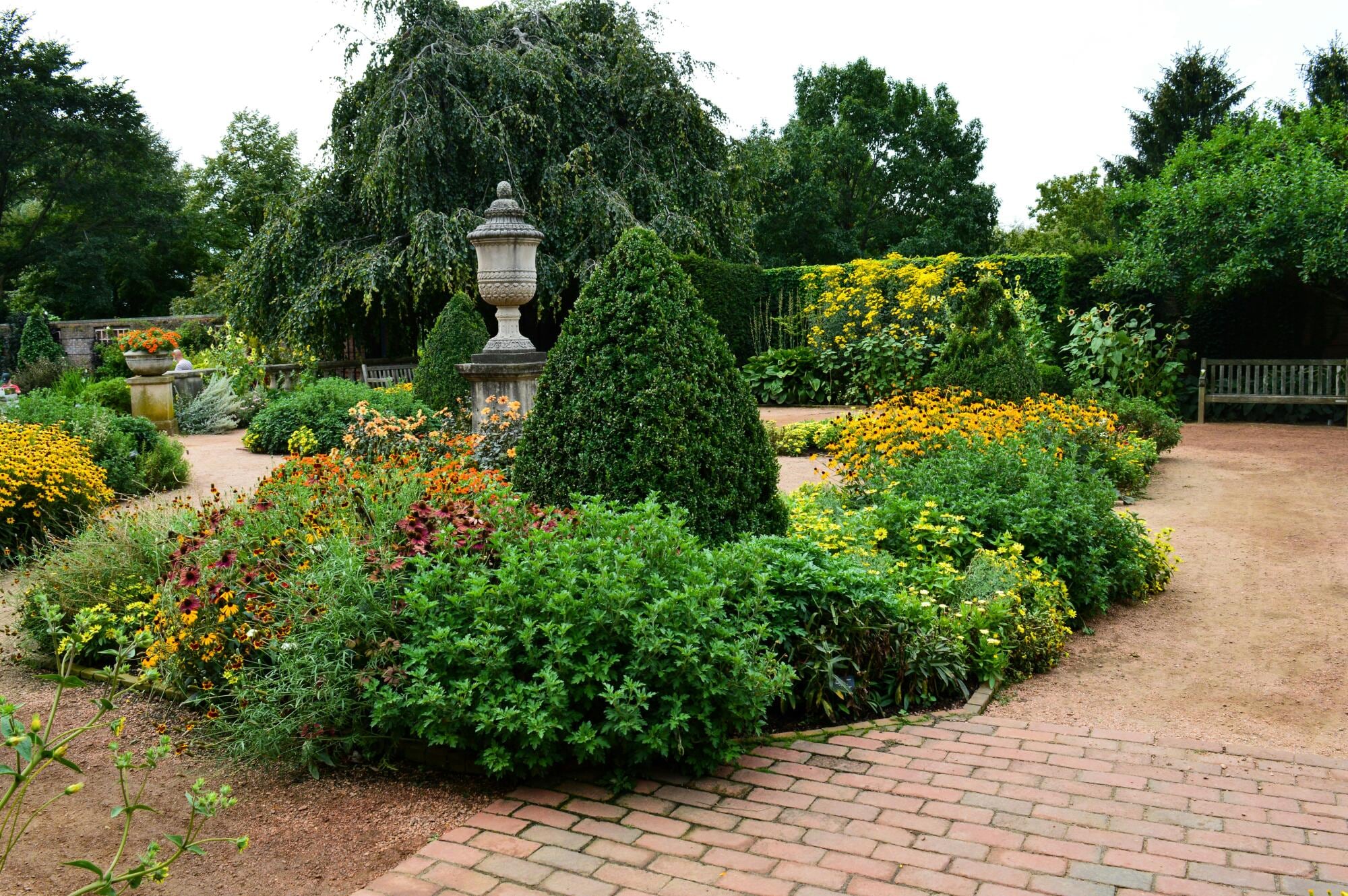 Elevate Your Outdoor Space: The Ultimate Guide to Gorgeous Garden Hedges