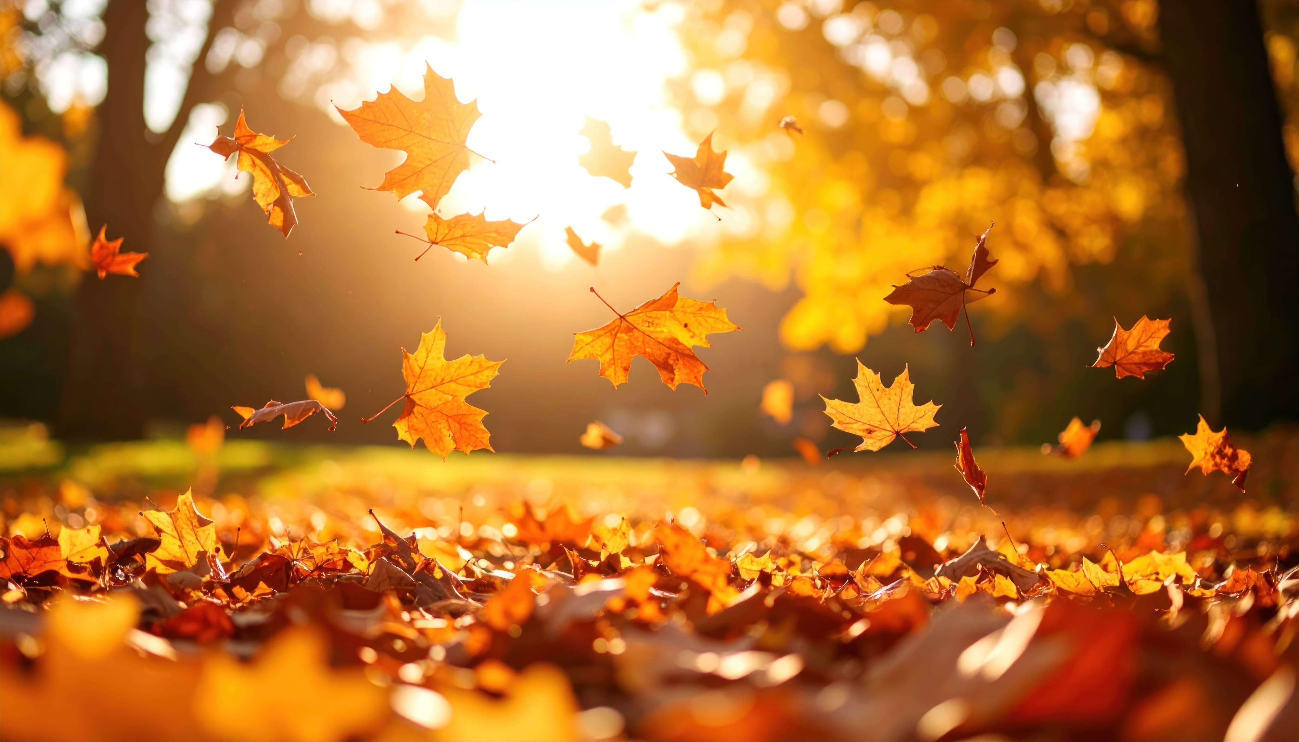 Dayton Forecast: Pleasant Weather Expected with Cooler Nights Supporting Fall Colors