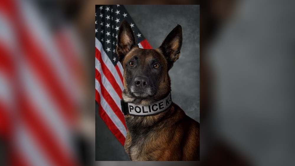 K9 Pasha Retires After Nearly Nine Years With Tipp City Police Department