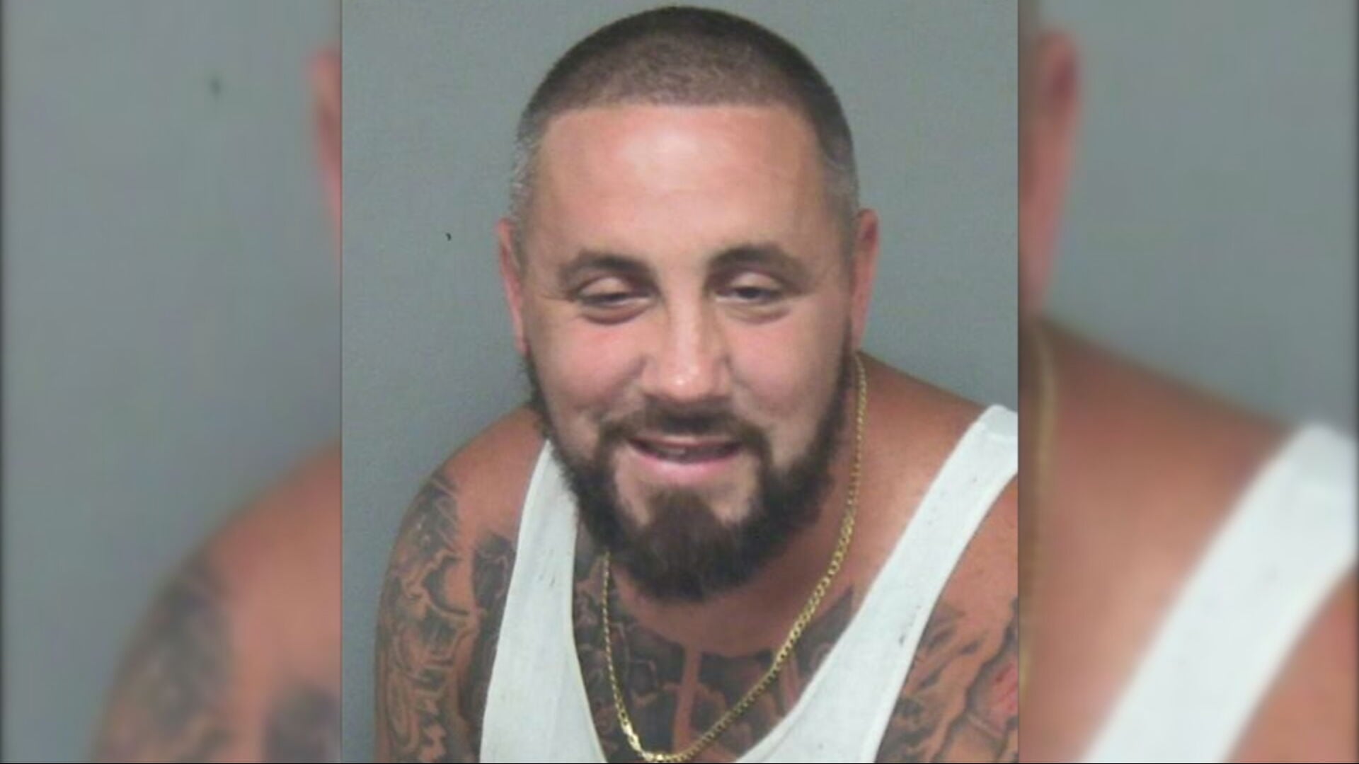 Man Formally Charged in Deadly Springfield Hit-and-Run