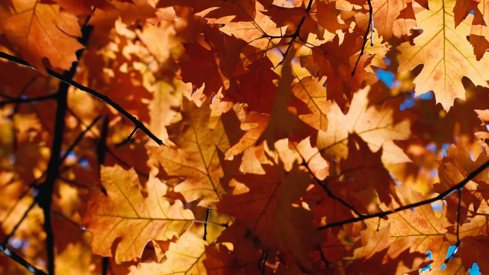 High Pressure Brings Dry Week to Miami Valley, With Highs Near 70