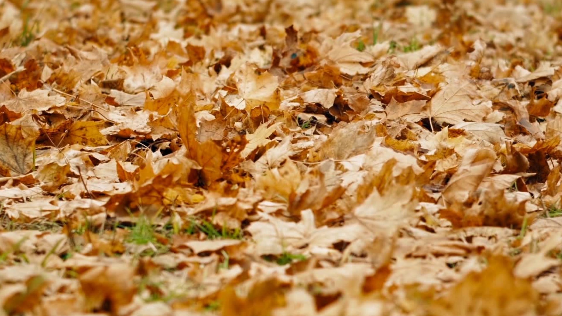High Pressure Brings Sunny, Mild Afternoons to Miami Valley