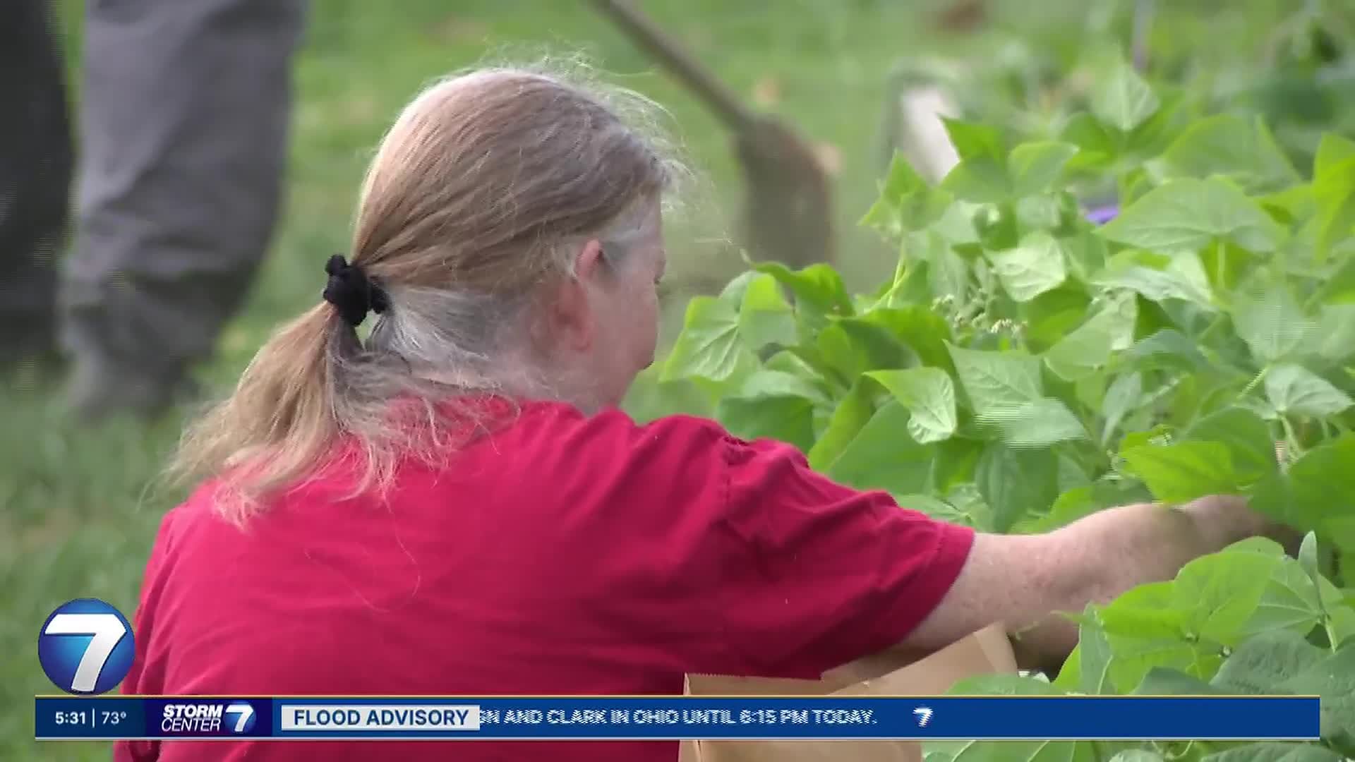 Learning Tree Farm Offers Garden Programs in Jefferson Township